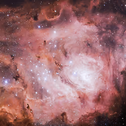 STAR #95