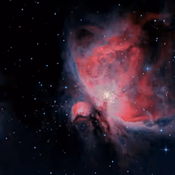 STAR #225