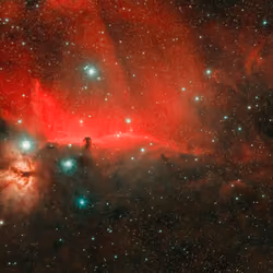 STAR #101