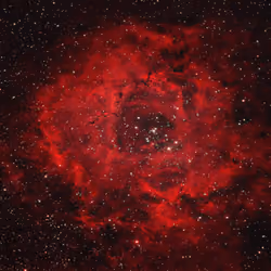 STAR #268