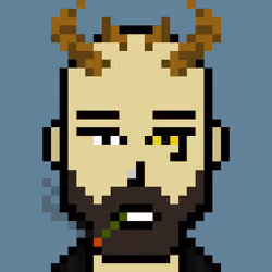 Punker #9701