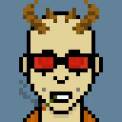 Punker #9699