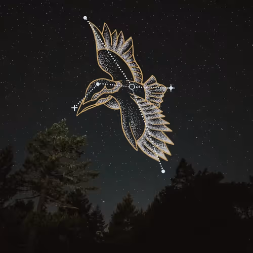 Item #3900090109 Media