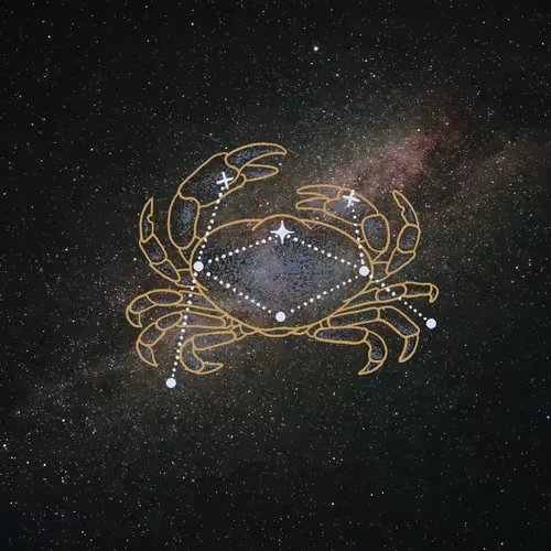 Item #3900060002 Media