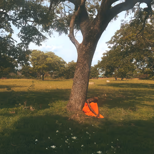 Finding Solace