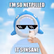 704