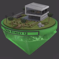 Tron Street 12