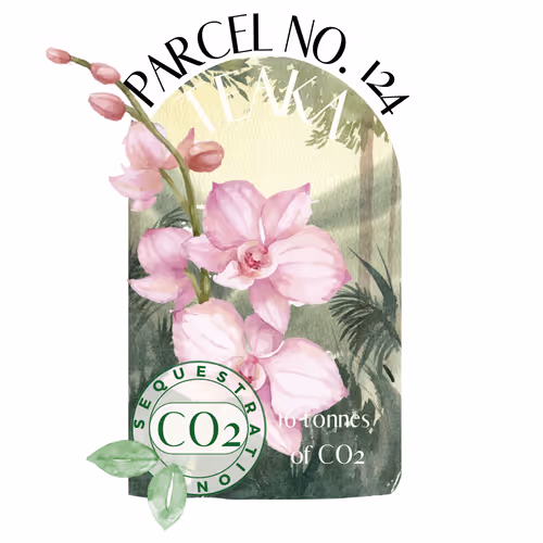 Item #103391006082967130539571089582022961845787823440243092784781355030408211726374 Media