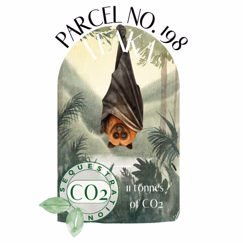 Item #103391006082967130539571089582022961845787823440243092784781355030408211726379 Media