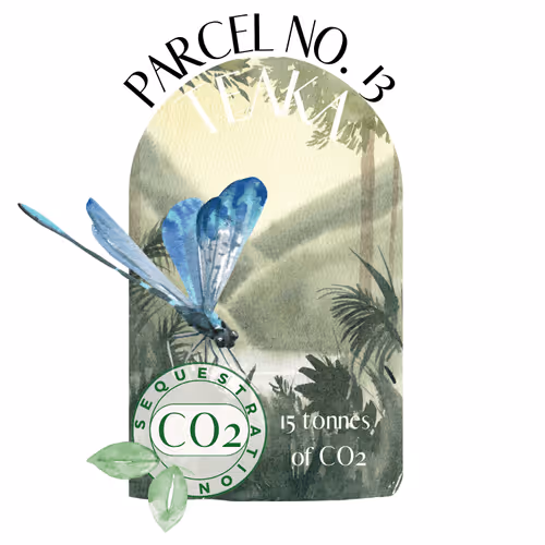 Item #103391006082967130539571089582022961845787823440243092784781355030408211726355 Media