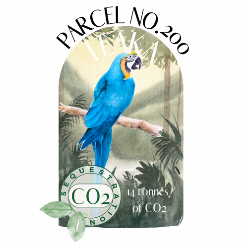 Item #103391006082967130539571089582022961845787823440243092784781355030408211726383 Media