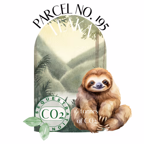 Item #103391006082967130539571089582022961845787823440243092784781355030408211726381 Media