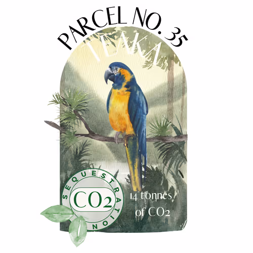 Item #103391006082967130539571089582022961845787823440243092784781355030408211726340 Media