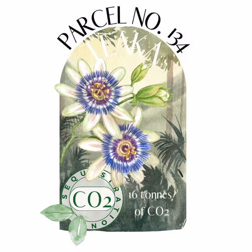 Item #103391006082967130539571089582022961845787823440243092784781355030408211726376 Media