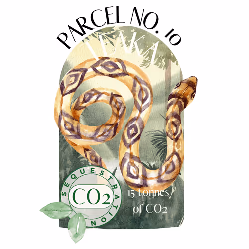 Item #103391006082967130539571089582022961845787823440243092784781355030408211726354 Media