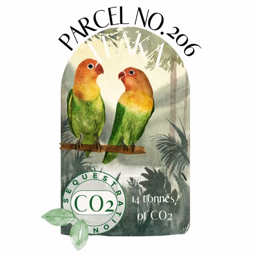 Item #103391006082967130539571089582022961845787823440243092784781355030408211726396 Media