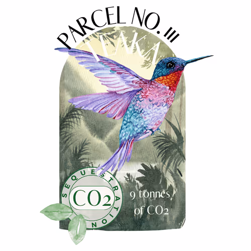 Item #103391006082967130539571089582022961845787823440243092784781355030408211726359 Media