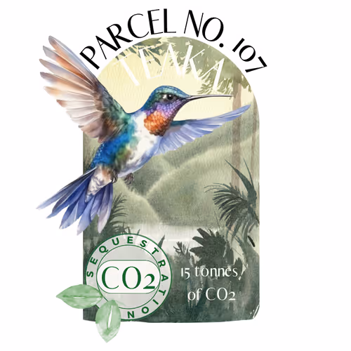 Item #103391006082967130539571089582022961845787823440243092784781355030408211726369 Media