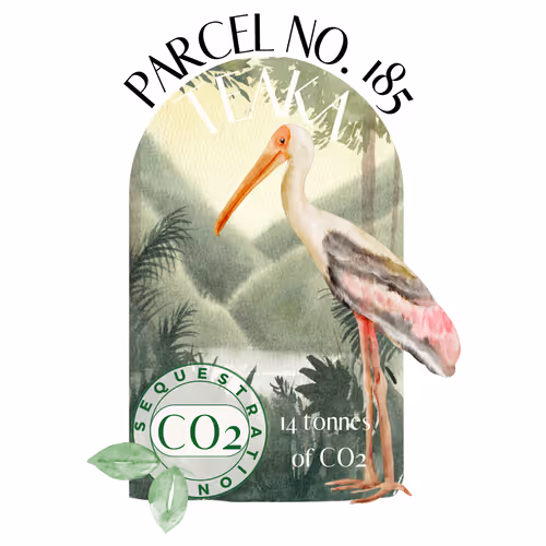 Item #103391006082967130539571089582022961845787823440243092784781355030408211726366 Media