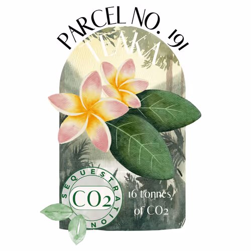 Item #103391006082967130539571089582022961845787823440243092784781355030408211726382 Media