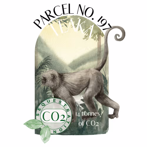 Item #103391006082967130539571089582022961845787823440243092784781355030408211726393 Media