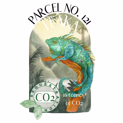 Item #103391006082967130539571089582022961845787823440243092784781355030408211726375 Media