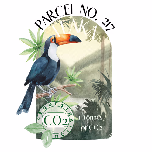 Item #103391006082967130539571089582022961845787823440243092784781355030408211726400 Media