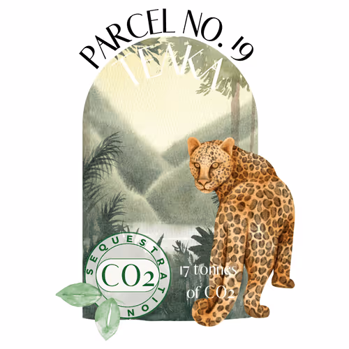 Item #103391006082967130539571089582022961845787823440243092784781355030408211726341 Media