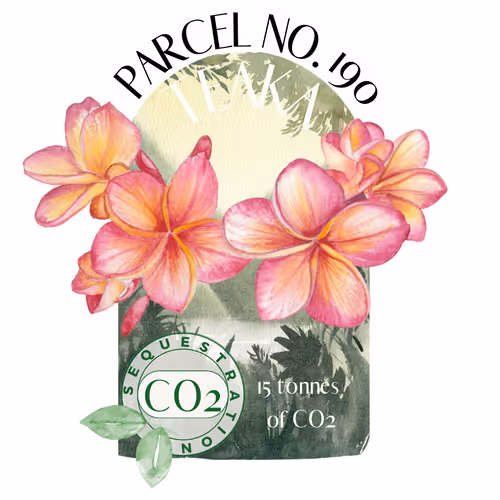 Item #103391006082967130539571089582022961845787823440243092784781355030408211726388 Media