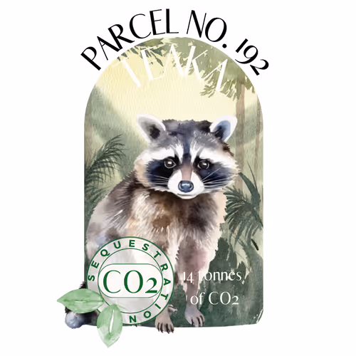 Item #103391006082967130539571089582022961845787823440243092784781355030408211726399 Media