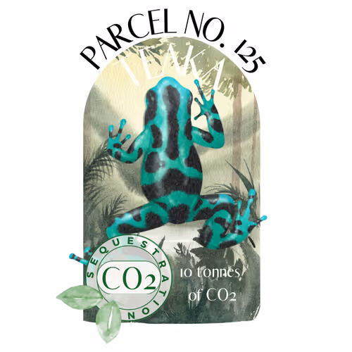 Item #103391006082967130539571089582022961845787823440243092784781355030408211726385 Media