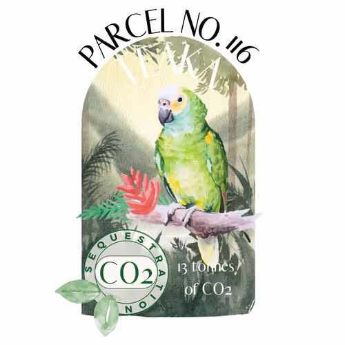 Item #103391006082967130539571089582022961845787823440243092784781355030408211726373 Media