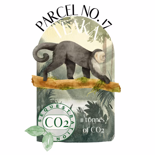 Item #103391006082967130539571089582022961845787823440243092784781355030408211726356 Media