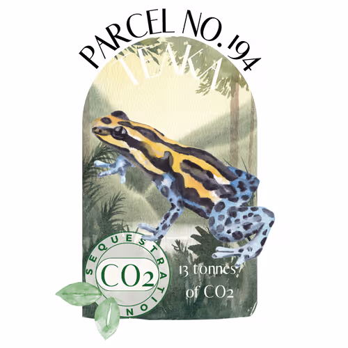 Item #103391006082967130539571089582022961845787823440243092784781355030408211726371 Media