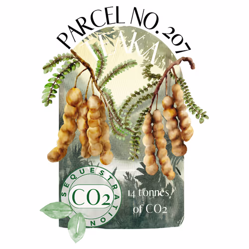 Item #103391006082967130539571089582022961845787823440243092784781355030408211726387 Media