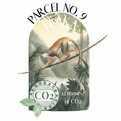 Item #103391006082967130539571089582022961845787823440243092784781355030408211726337 Media