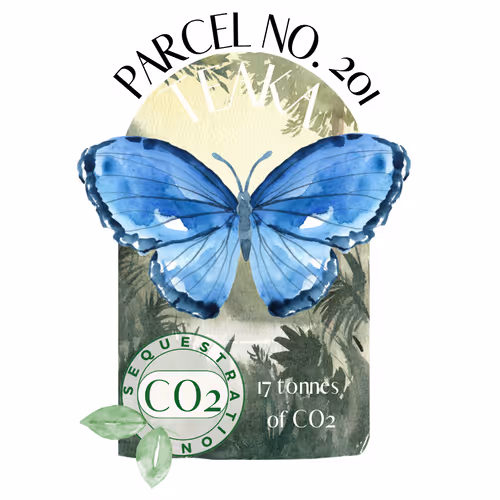 Item #103391006082967130539571089582022961845787823440243092784781355030408211726401 Media