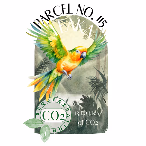 Item #103391006082967130539571089582022961845787823440243092784781355030408211726365 Media