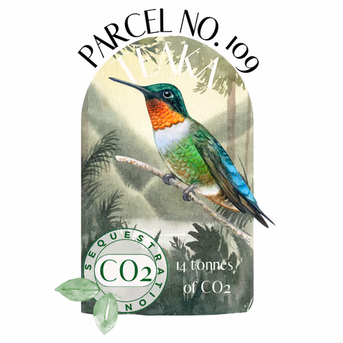 Item #103391006082967130539571089582022961845787823440243092784781355030408211726358 Media