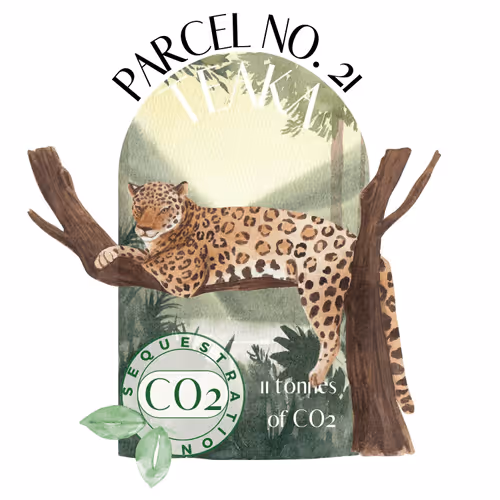 Item #103391006082967130539571089582022961845787823440243092784781355030408211726350 Media