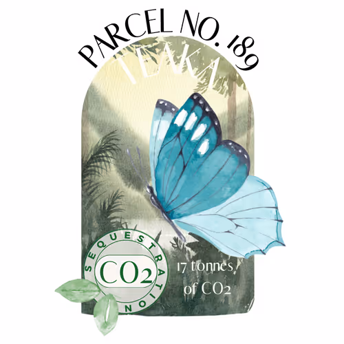 Item #103391006082967130539571089582022961845787823440243092784781355030408211726372 Media