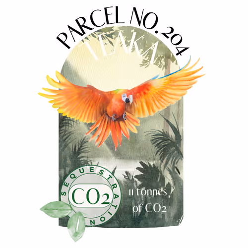 Item #103391006082967130539571089582022961845787823440243092784781355030408211726380 Media