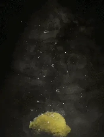 Mr. Citrus