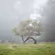 Lonely Trees V3