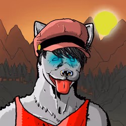 31