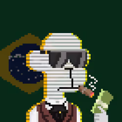 10K World Cup #2535 - Brazil