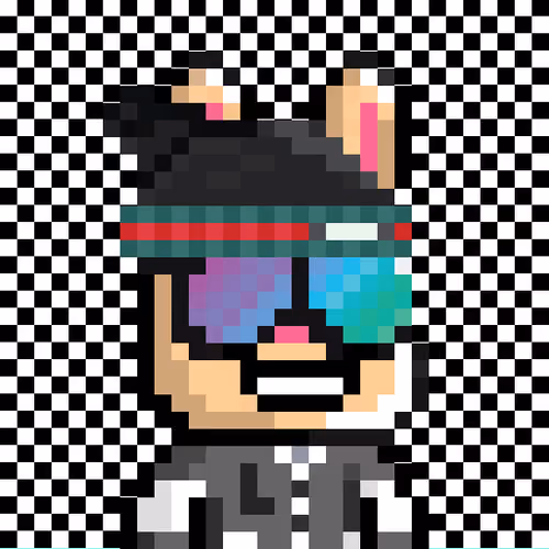 Bunny Warriors #6197