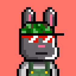 Bunny Warriors #4654