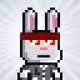 Bunny Warriors #4455