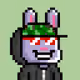 Bunny Warriors #1628